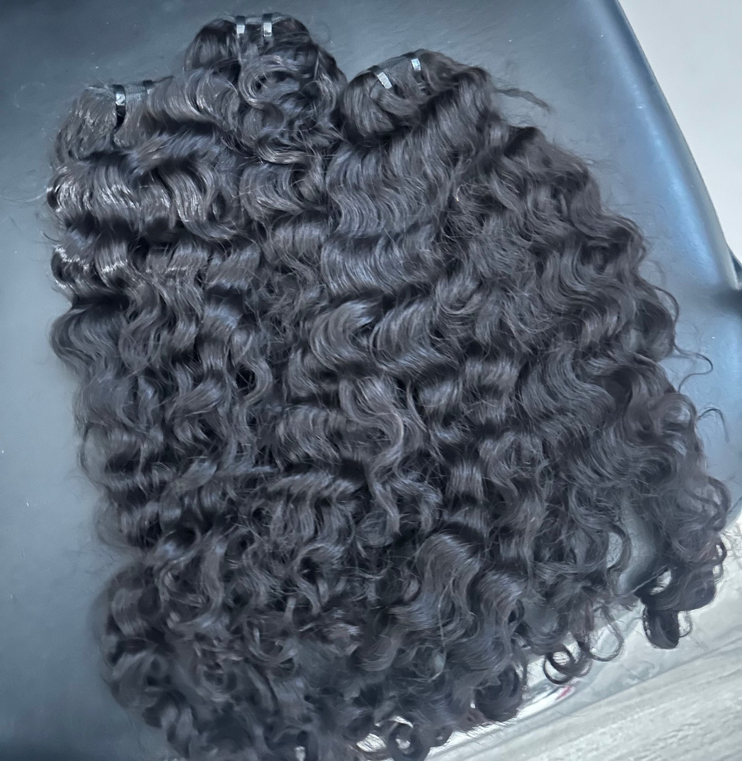 Burmese Curly